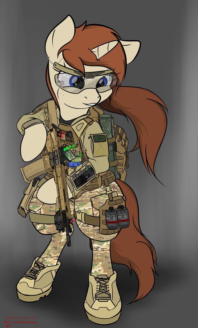 soldier pony in fatigues with rifle