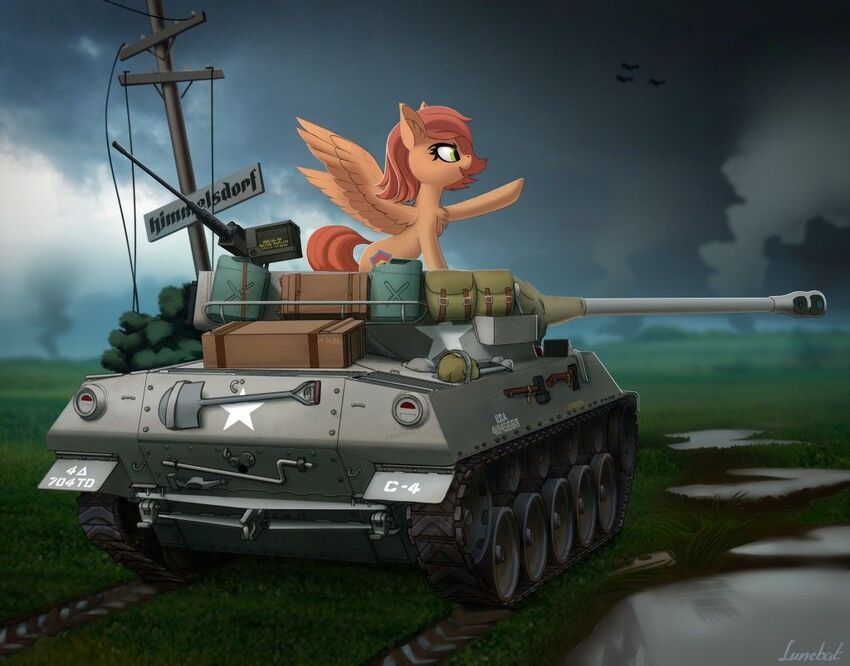 pony perched on a tank