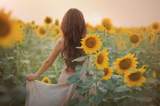 woman with her back to the camera in a field on sunflowers