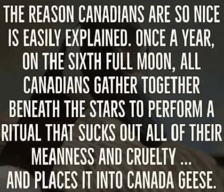 Canadians are so nice because once a year, Canadians perform a ritual that sucks out all their meanness and cruelty and places it into Canada geese