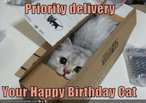 cat in box, captioned Priority delivery your happy birthday cat