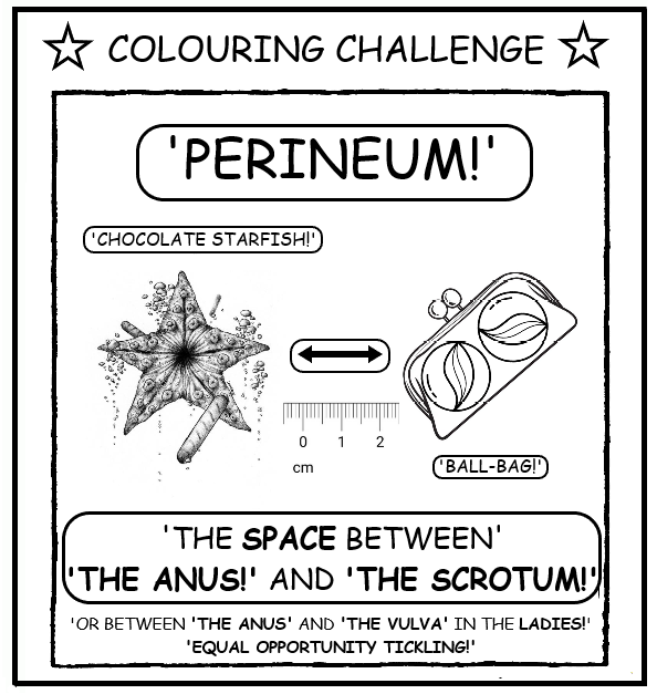 coloring book page about the perineum