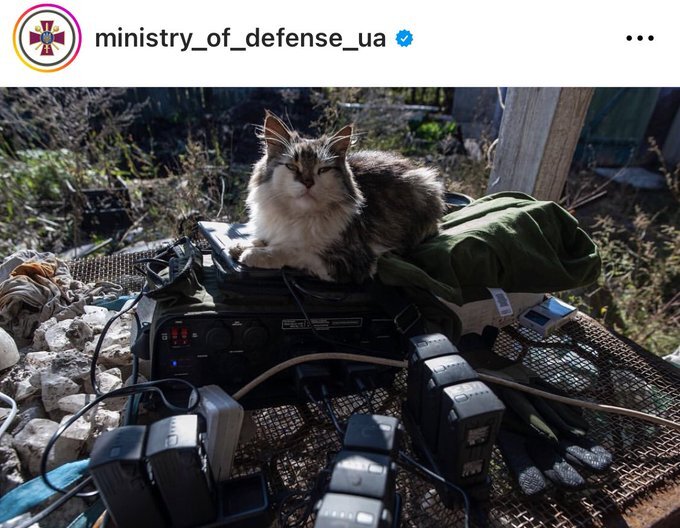 cat sitting on electronics, captioned 'Ministry of Defense UA'