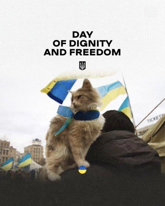 a cat sits on someone's shoulders as they celebrate Dignity and Freedom Day