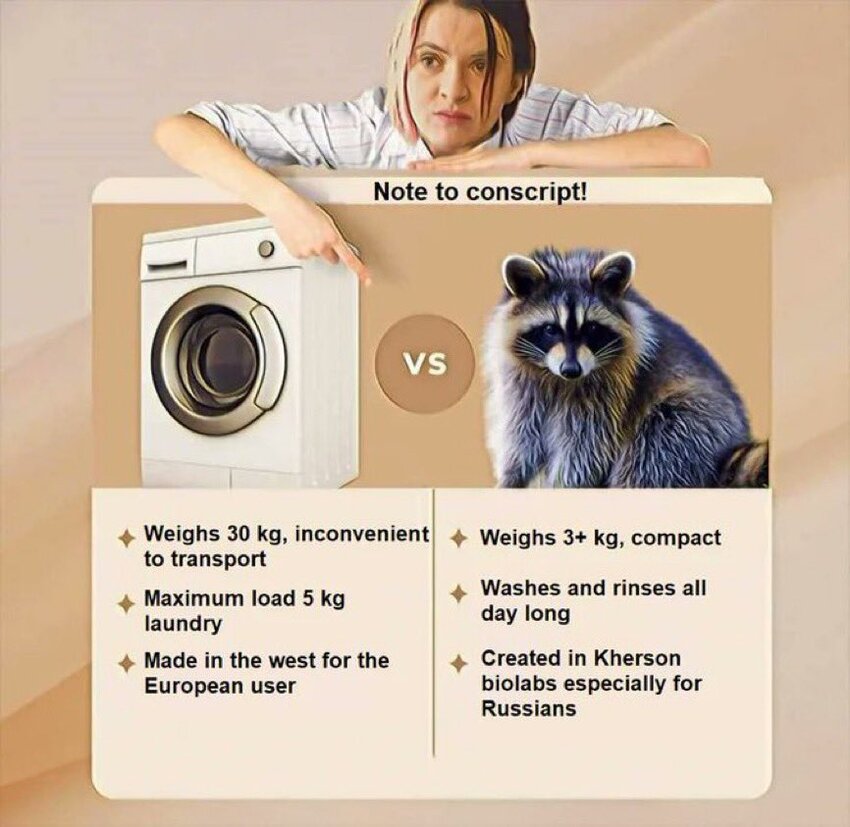 stealing washing machine vs. stealing a raccoon