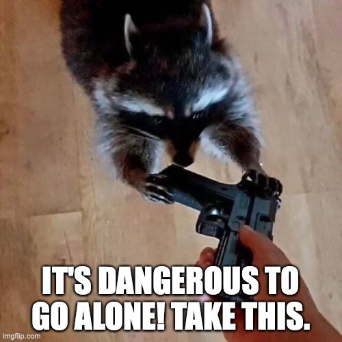raccoon being offered a pistol, caption 'It's dangerous to go alone. Take this!'