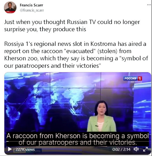 Rossiya 1's regional news slot in Kostroma has aired a report on the raccoon stolen from Kherson zoo, which they say is becoming a 'symbol of our paratroopers and their victories'