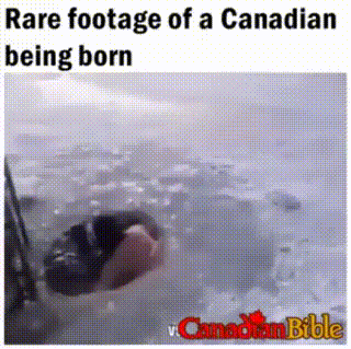 rare footage of a Canadian being born: Guy with hockey stick climbs out of hole in ice and skates away