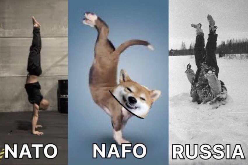 NATO: gymnast doing handstand. NAFO: dog doing handstand. Russia: frozen vatnik upside down.