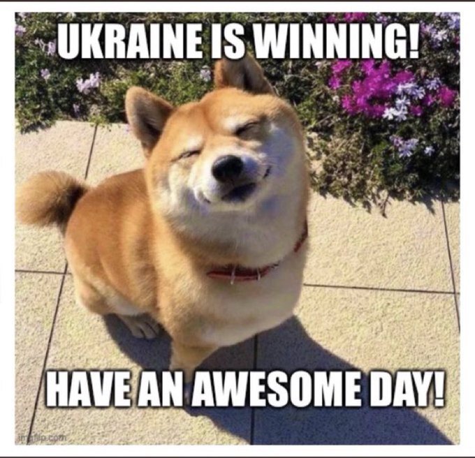 Happy dog captioned 'Ukraine is winning! Have an awesome day!'
