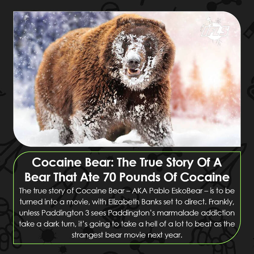 Cocaine Bear: The true story of a bear that ate 70 pounds of cocaine. Turned into a movie, with Elizabeth Banks set to direct, unless Paddington 3 sees Paddington's marmalade addiction take a dark turn, it's going to take a hell of a lot to beat this as the strangest bear movie next year.
