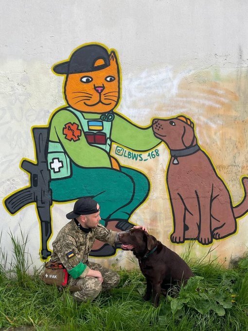 a soldier pets a dog by a mural of a cartoon cat medic petting a dog