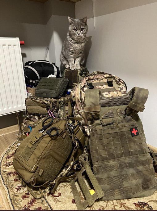 fluffy cat sits on Ukraine soldier backpacks