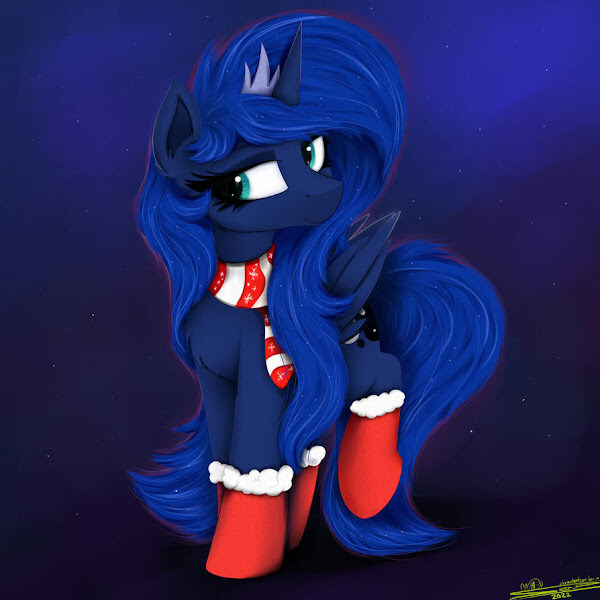 dark blue Christmas pony