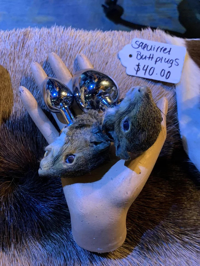 a taxidermied squirrel head on a steel buttplug? Who thinks of stuff like this?