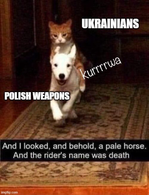 Cat (Ukrainians) riding dog (Polish weapons) caption 'And I looked, and behold, a pale horse. And the rider's name was death'