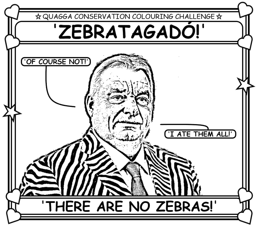 Coloring book page where Orban wears a garish suit and says there are no zebras, he ate them all.