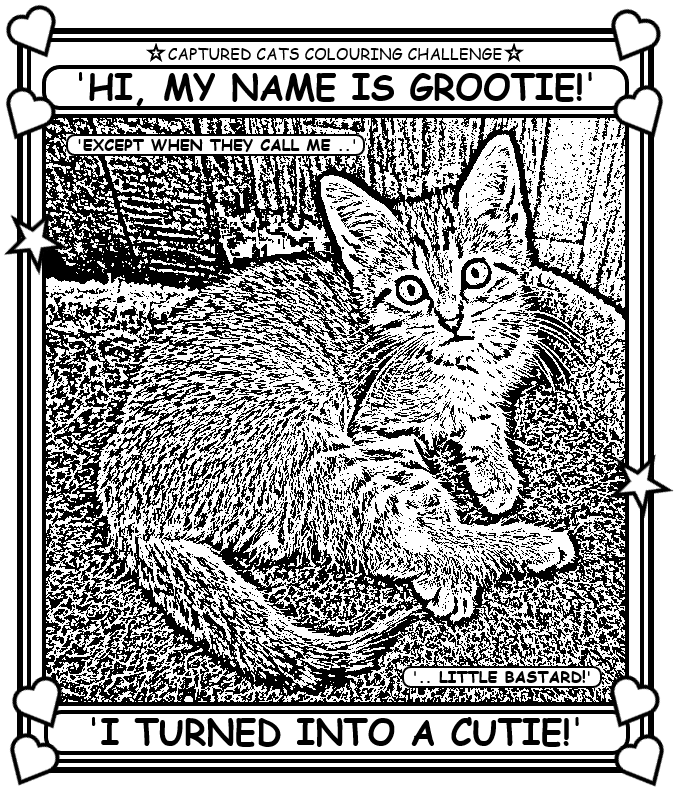 Coloring book page with a cute cat.