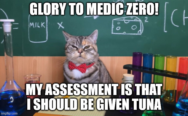 Cat says 'Glory to Medic Zero! My assessment is I should be given tuna.'