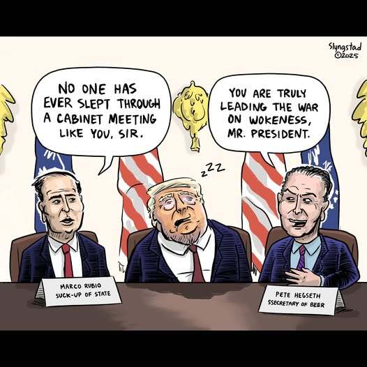 Political cartoon where Hegseth and Rubio praise Trump for sleeping through a Cabinet meeting and leading a war on wokeness.