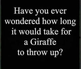 Did you ever wonder how long it takes a giraffe to throw up?