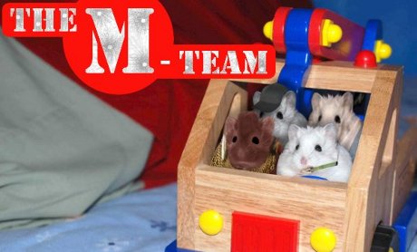 4 mice in a truck, caption 'The M-Team' 