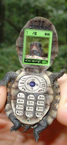 cellphone that looks like a turtle