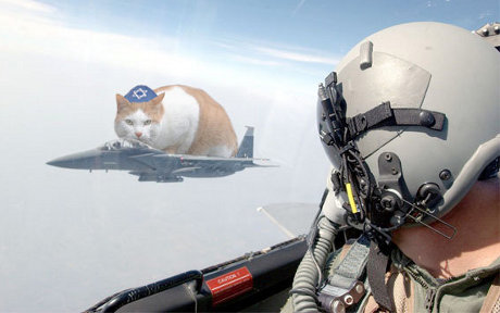 huge cat wearing yarmulke sitting on fighter jet