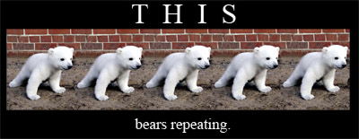 bears repeating [multiple pictures of a bear]