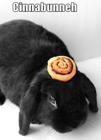 bunny with cinnamon bun on its head, caption 'cinnabunneh' 