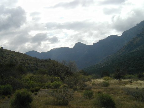 the valley of West Clear Creek, in May, near Bull Pen Run