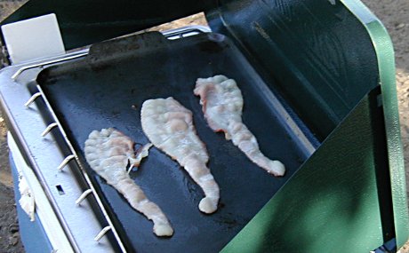 bacon cooking on a propane stove