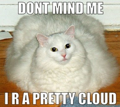 don't mind me, I are a pretty cloud