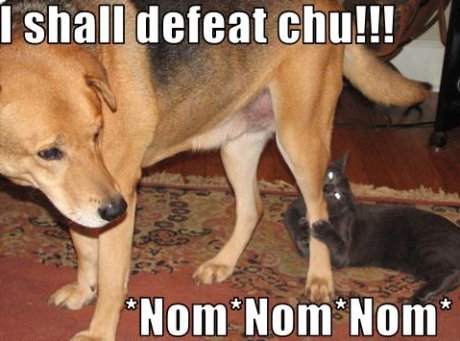 I shall defeat chu!  nom nom nom