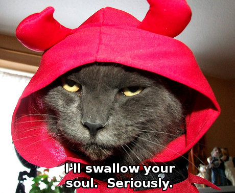 Cat wearing devil costume