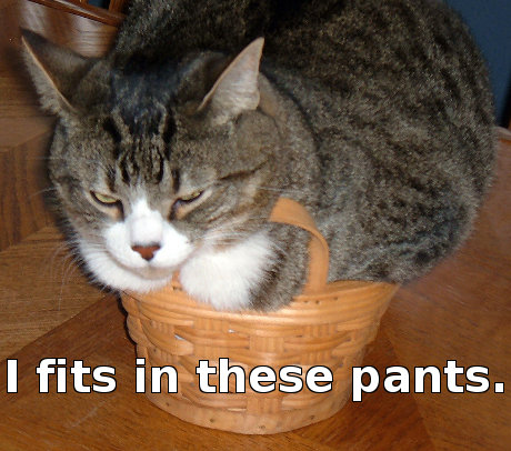 I fits in these pants!