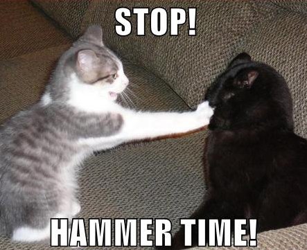 cat saying 'Stop! Hammertime!'