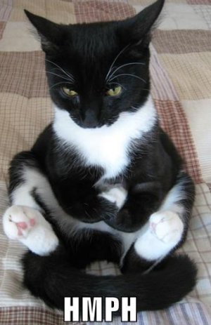 tuxedo cat saying HMMPH.