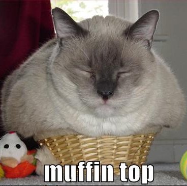 fat cat in basket, caption 'Muffin Top' 