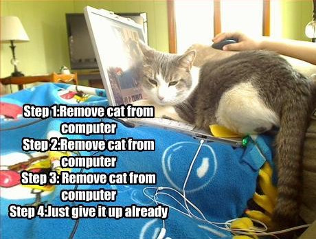 step 1: remove cat from computer...