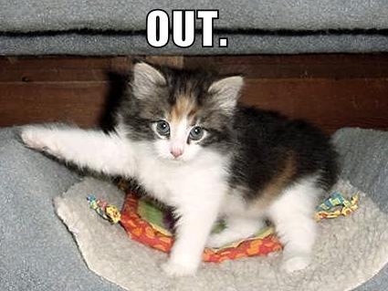 lolcat saying 'OUT'