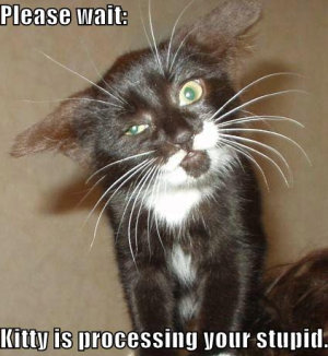 please wait, kitty is processing your stupid