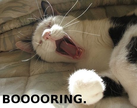 cat yawning, saying 'BOOOORING'