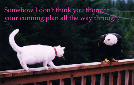 cat stalking eagle, caption 'Somehow, I don't think you thought your cunning plan all the way through.' 