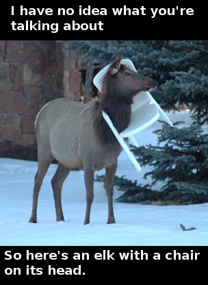 no idea what you're talking about, so here's an elk with a chair on its head