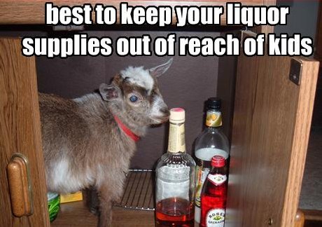 best to keep your liquor supplies out of reach of kids