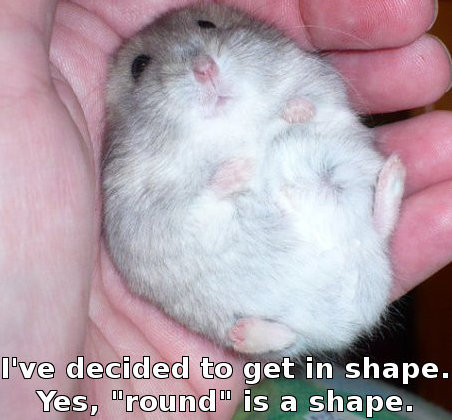 hamster saying 'I've decided to get in shape. Yes, round is a shape.' 