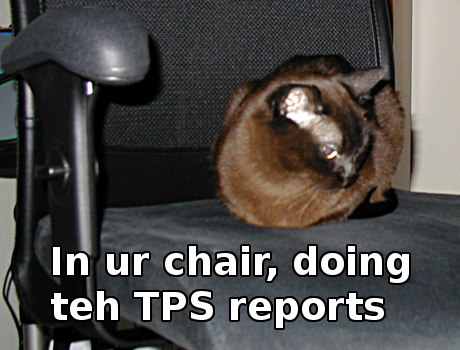 cat sitting in chair saying 'in ur chair' 