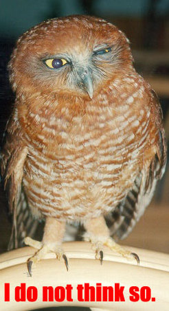 Owl saying 'I do not think so' 