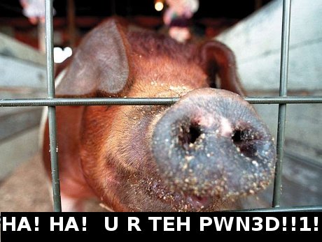 swine, saying 'Ha! Ha! U r all teh pwn3d!' 